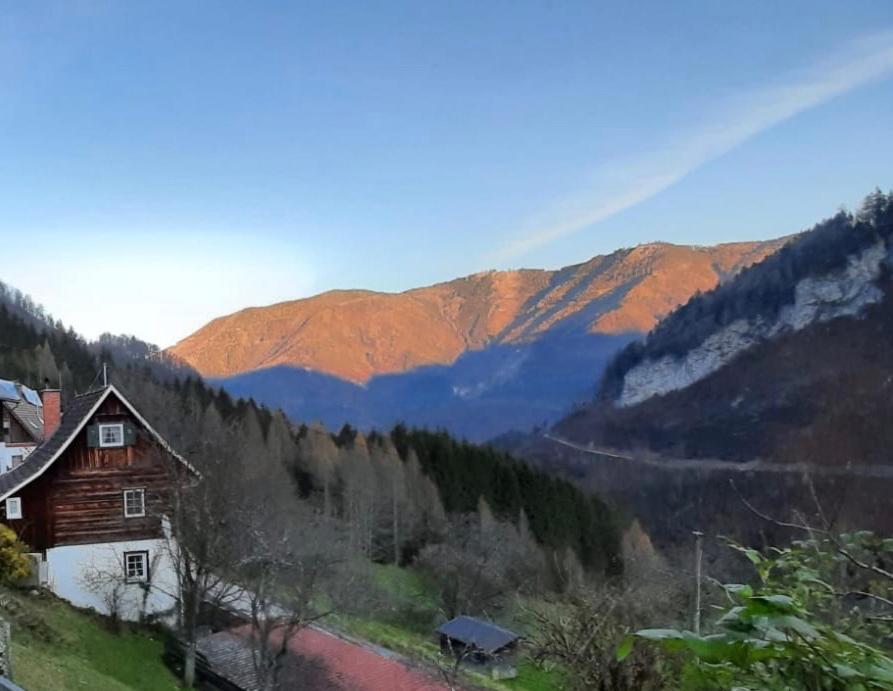 Romantische Ferienhuette Nationalpark Kalkalpen, Sonnig, 2 Schlafzimmer, Wlan Kleinreifling Dış mekan fotoğraf