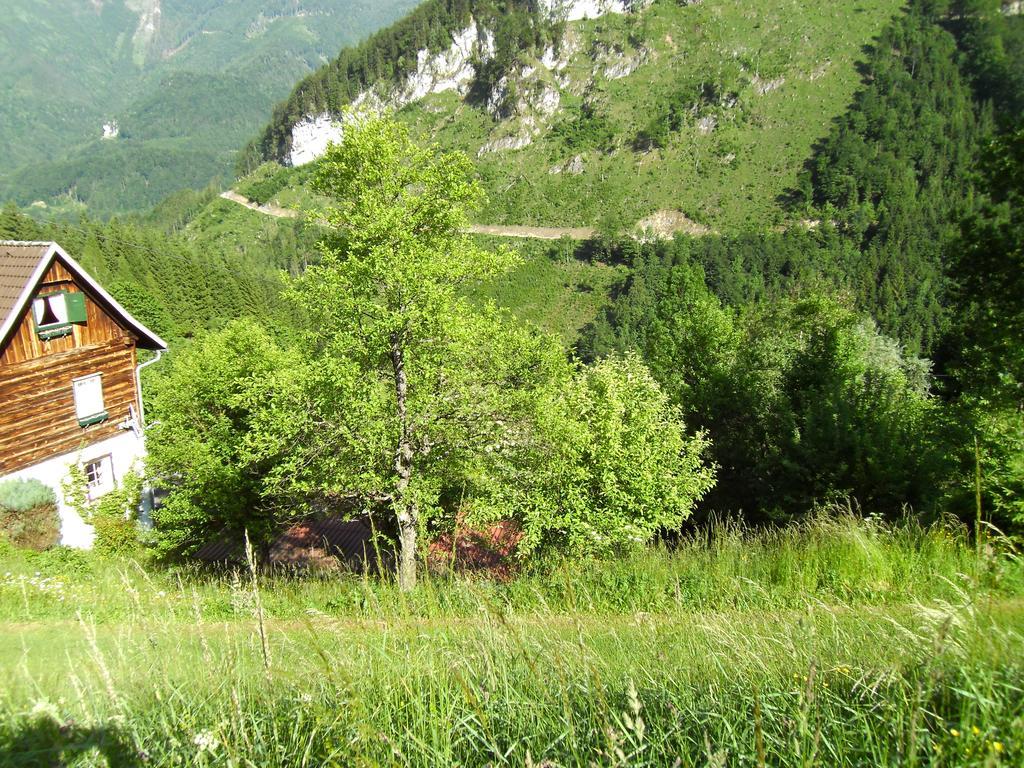 Romantische Ferienhuette Nationalpark Kalkalpen, Sonnig, 2 Schlafzimmer, Wlan Kleinreifling Dış mekan fotoğraf