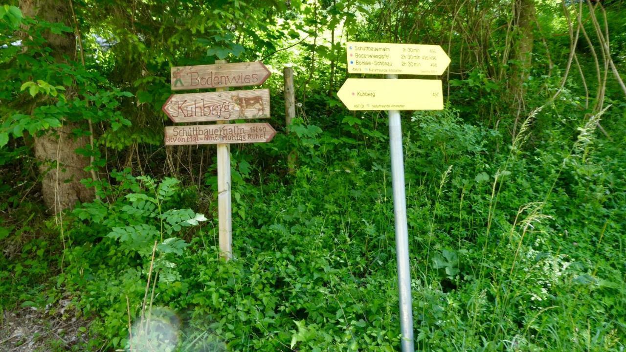 Romantische Ferienhuette Nationalpark Kalkalpen, Sonnig, 2 Schlafzimmer, Wlan Kleinreifling Dış mekan fotoğraf